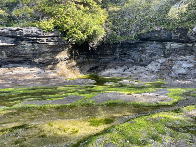 Sea Cave photo 10