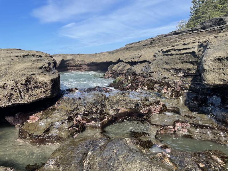 Sea Cave photo 12