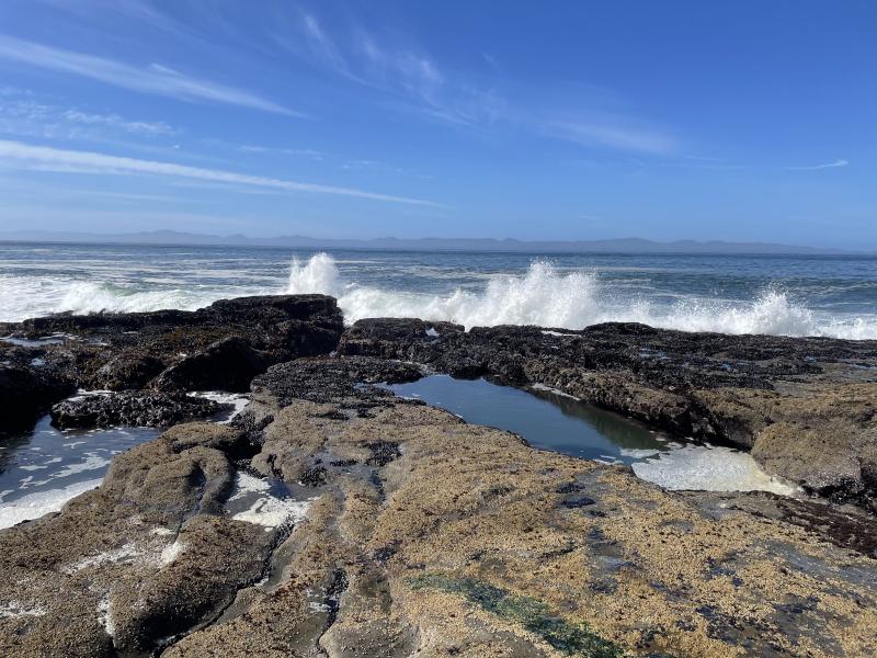 Sea Cave photo 16