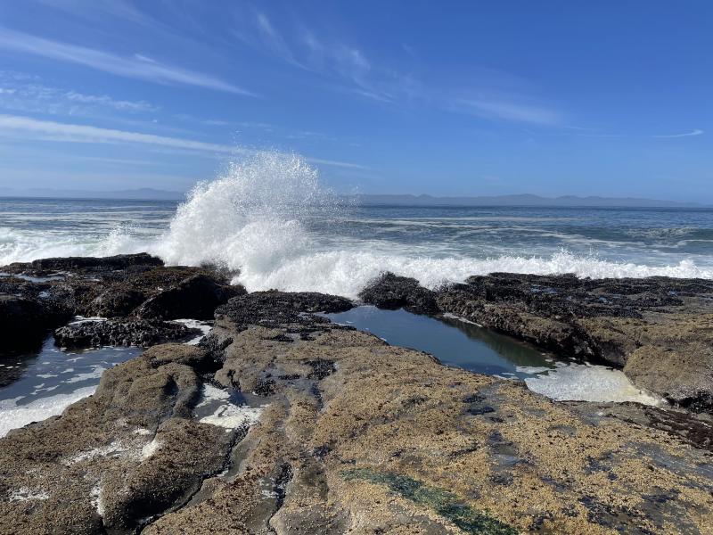 Sea Cave photo 18
