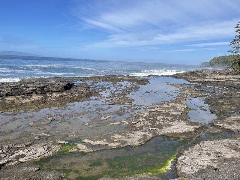 Sea Cave photo 22