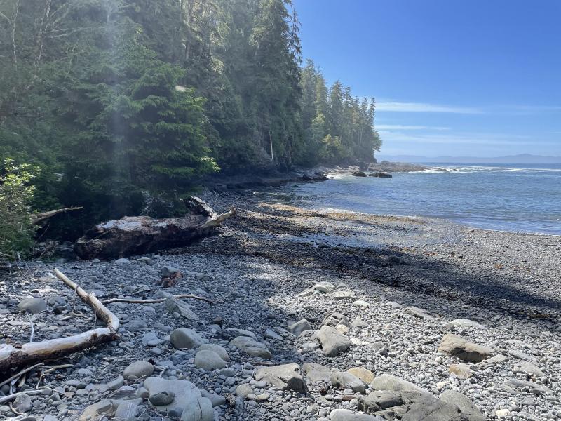 Sea Cave photo 29