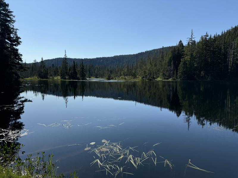 Three Arm Lake photo 8