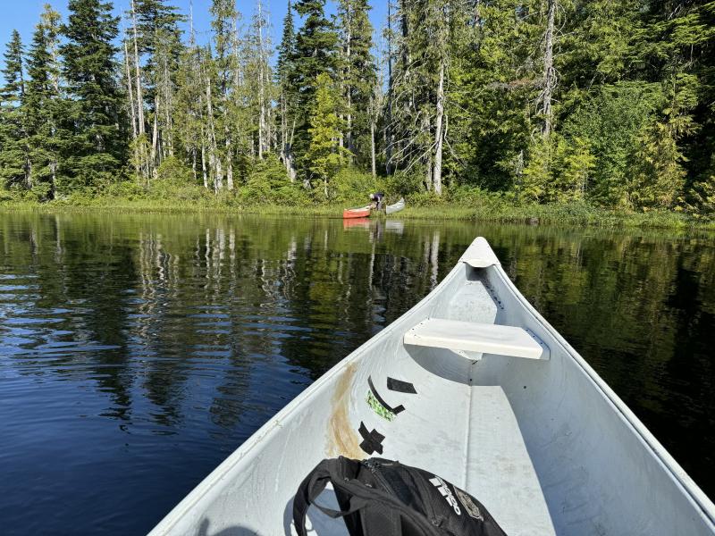 Three Arm Lake photo 10