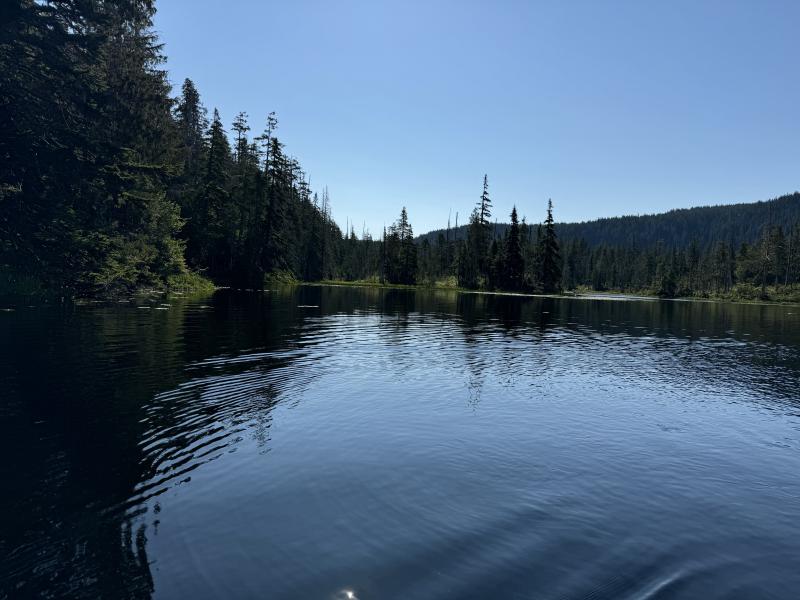 Three Arm Lake photo 11