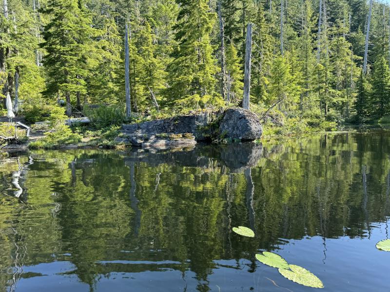 Three Arm Lake photo 13