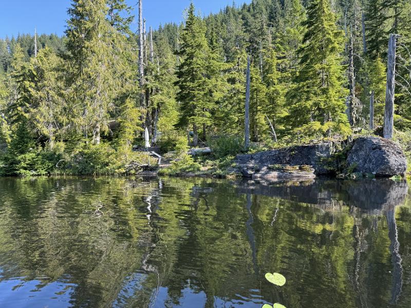 Three Arm Lake photo 14