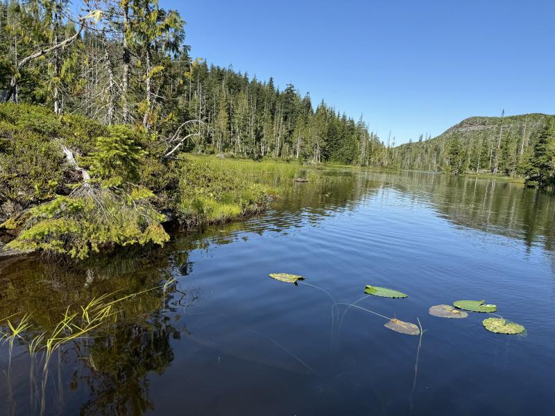 Three Arm Lake photo 15