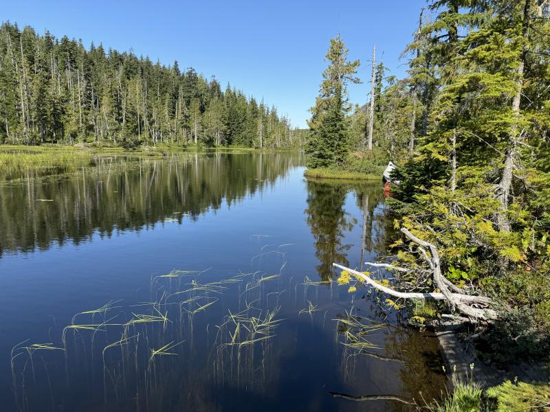 Three Arm Lake photo 16