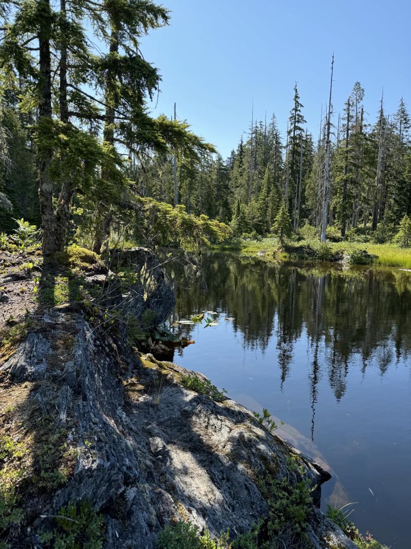 Three Arm Lake photo 17