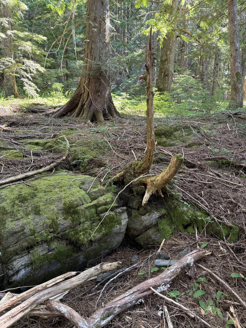 Three Arm Lake photo 25