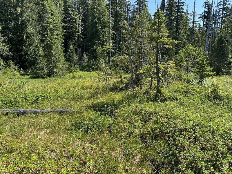Three Arm Lake photo 33