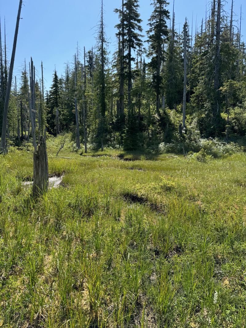 Three Arm Lake photo 35