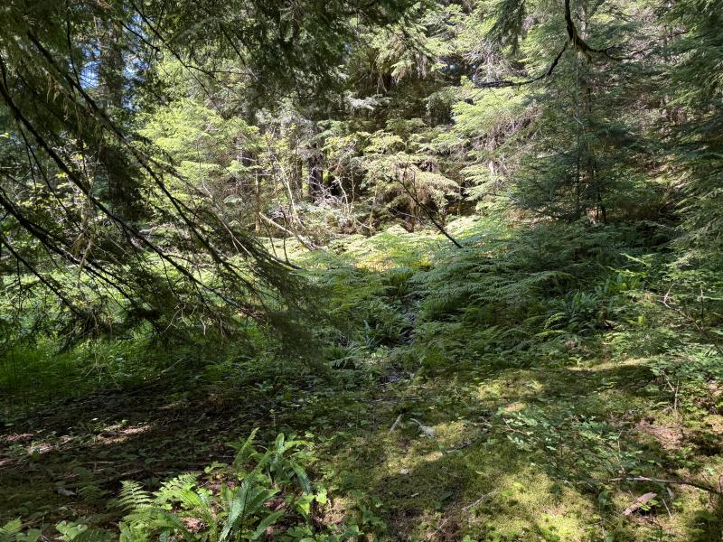 Three Arm Lake photo 36