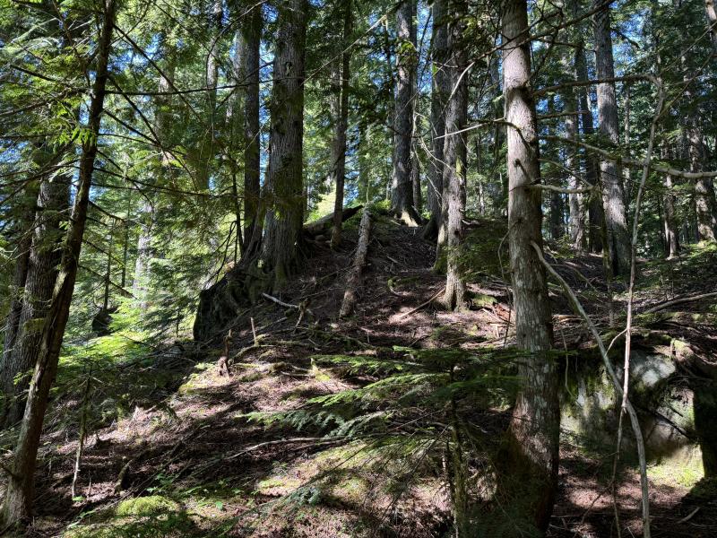 Three Arm Lake photo 37