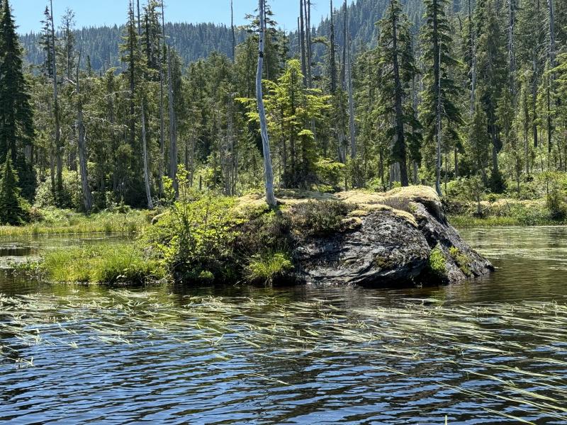 Three Arm Lake photo 44