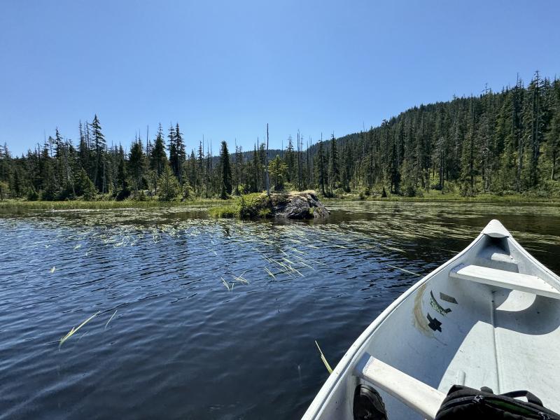 Three Arm Lake photo 45