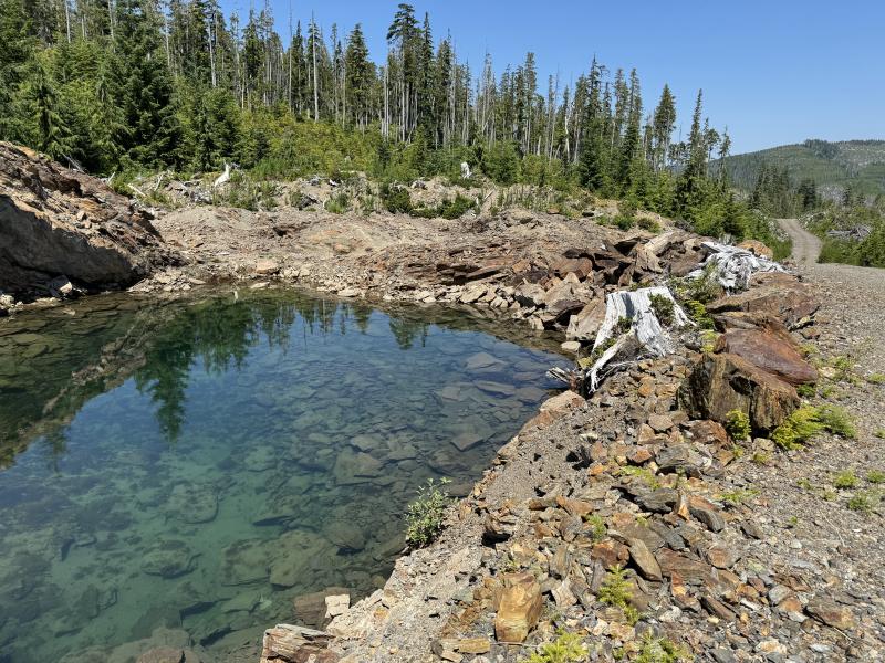 Three Arm Lake photo 51