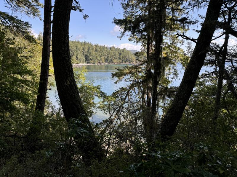Sooke photo 1