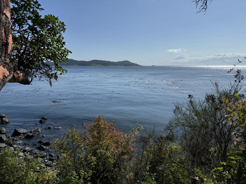 Sooke photo 2