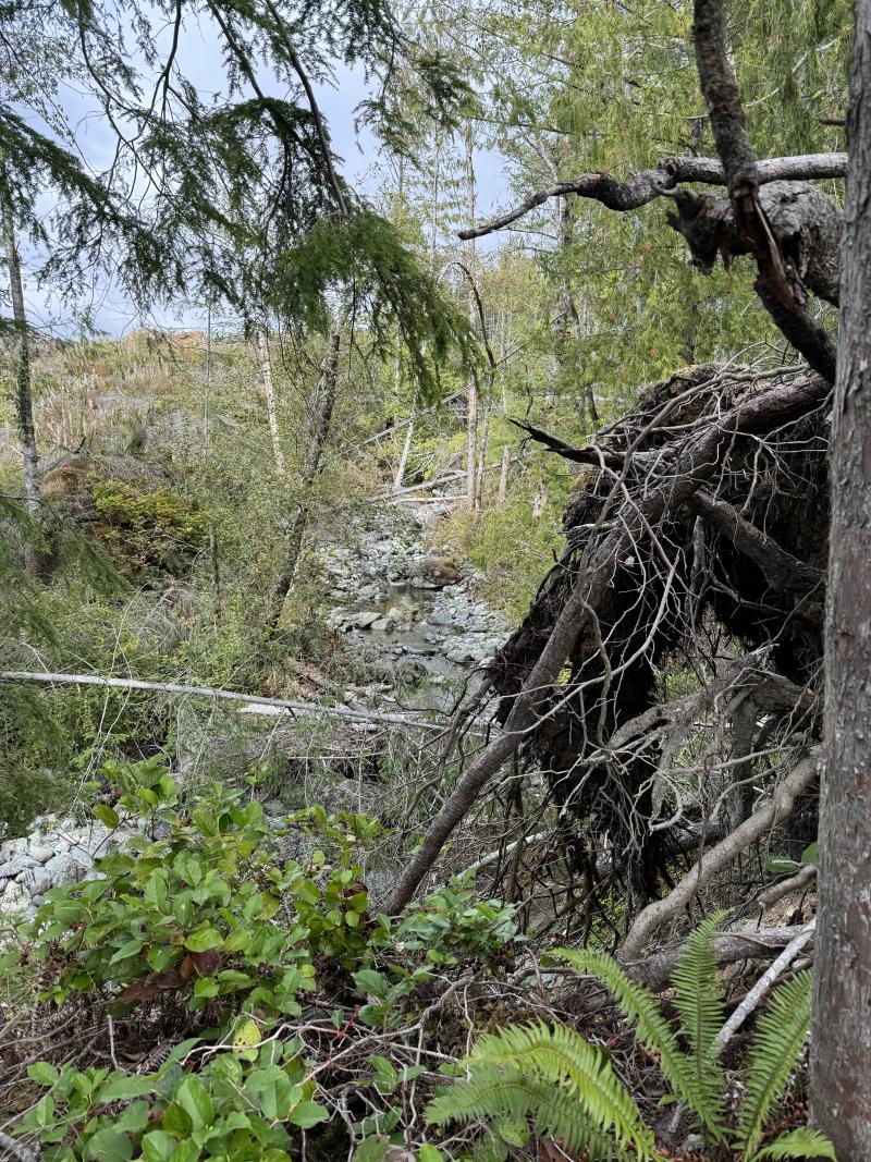 Copper Mines Cabin photo 16