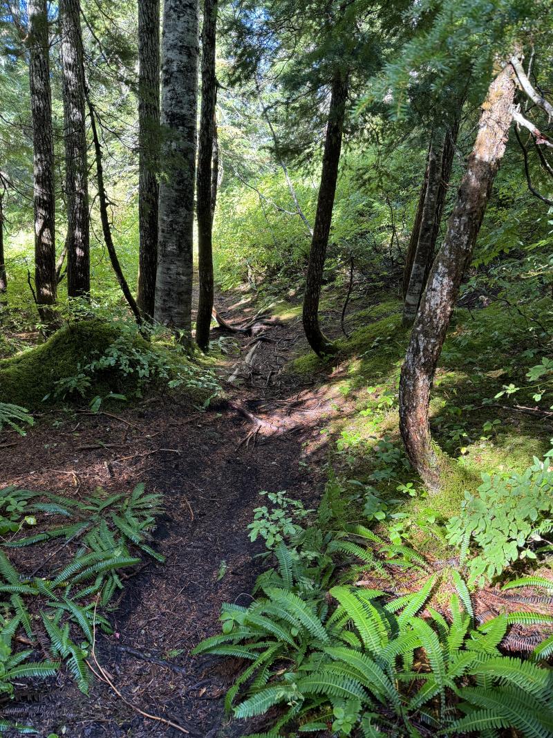 Kludahk Trail photo 17
