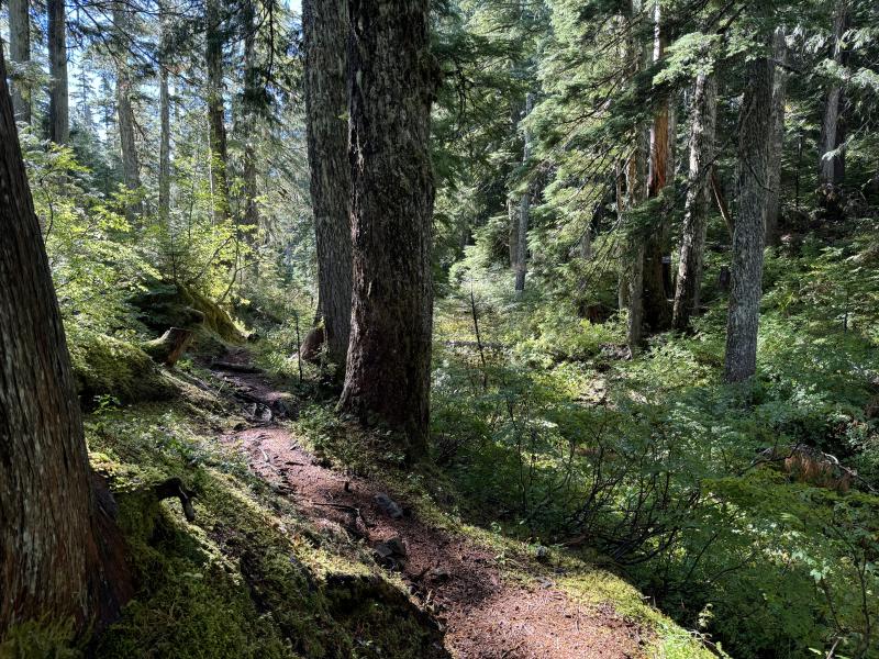 Kludahk Trail photo 18
