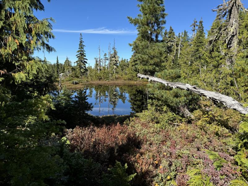 Kludahk Trail photo 30