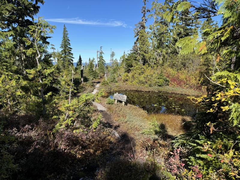 Kludahk Trail photo 31