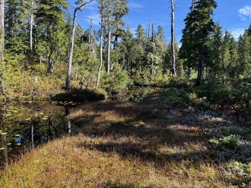 Kludahk Trail photo 32