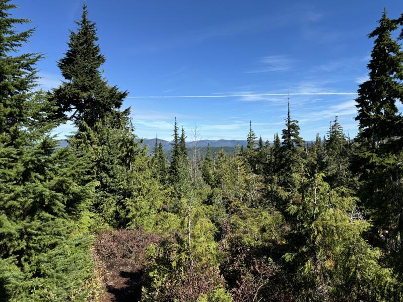 Kludahk Trail photo 40