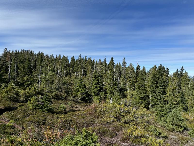 Kludahk Trail photo 43