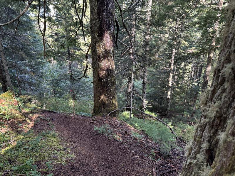 Kludahk Trail photo 48