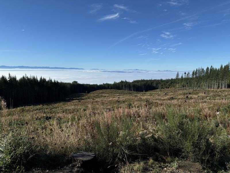 Kludahk Trail photo 1