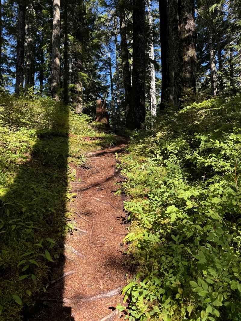 Kludahk Trail photo 3