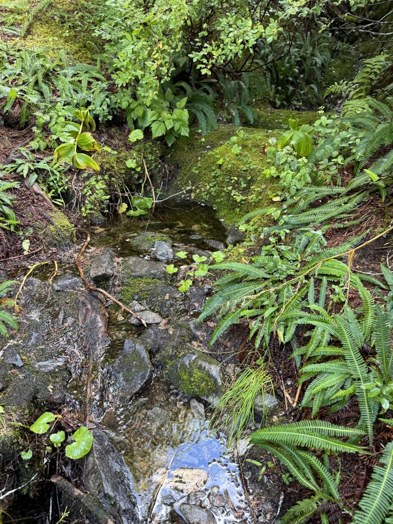 Kludahk Trail photo 5