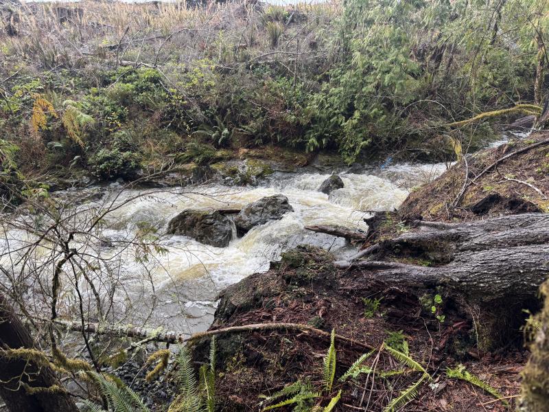 Jordan River Port Renfrew photo 1