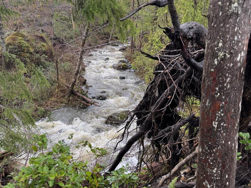 Jordan River Port Renfrew photo 2
