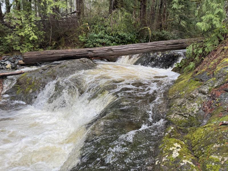 Jordan River Port Renfrew photo 3