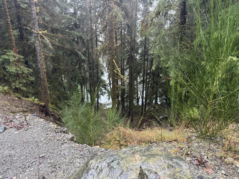 Jordan River Port Renfrew photo 14