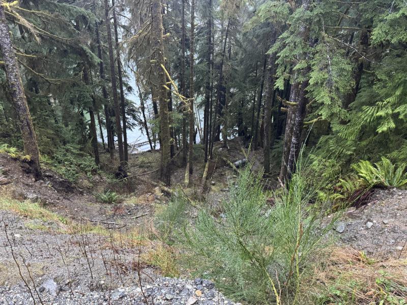 Jordan River Port Renfrew photo 15