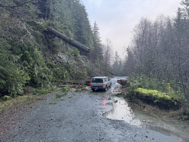 Jordan River Port Renfrew photo 18