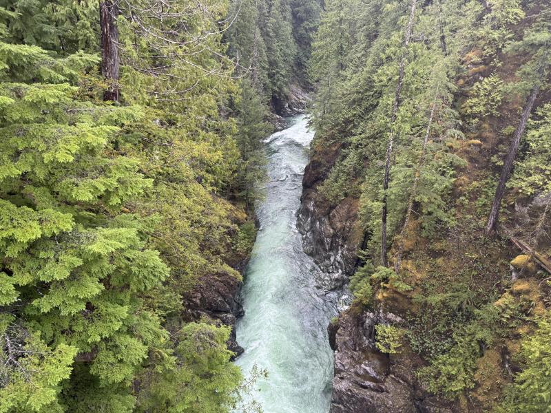 Jordan River Port Renfrew photo 24
