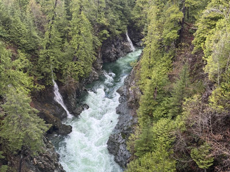 Jordan River Port Renfrew photo 26