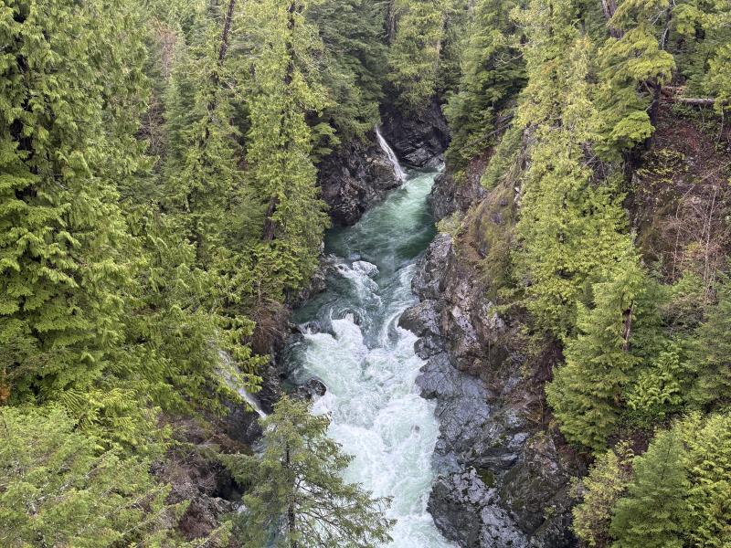 Jordan River Port Renfrew photo 27