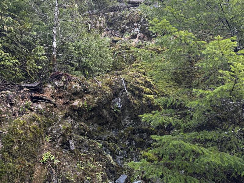 Jordan River Port Renfrew photo 29