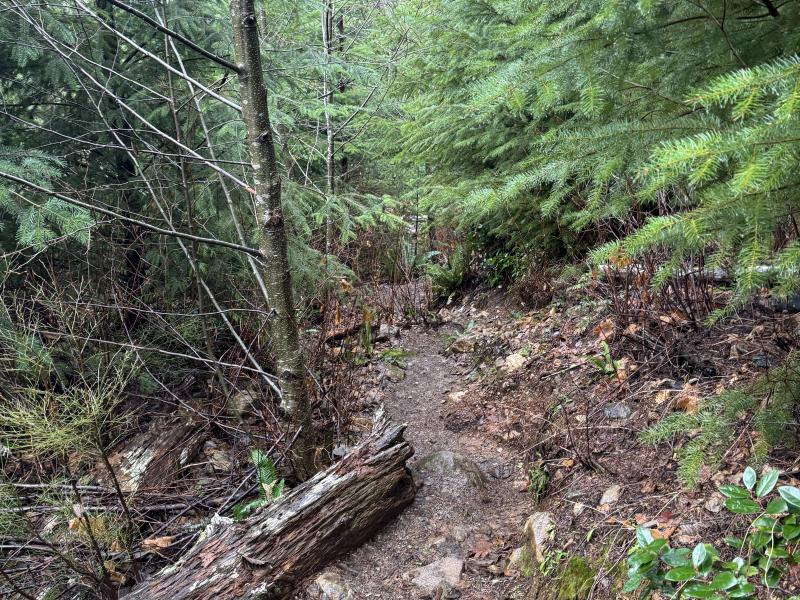 Jordan River Port Renfrew photo 32