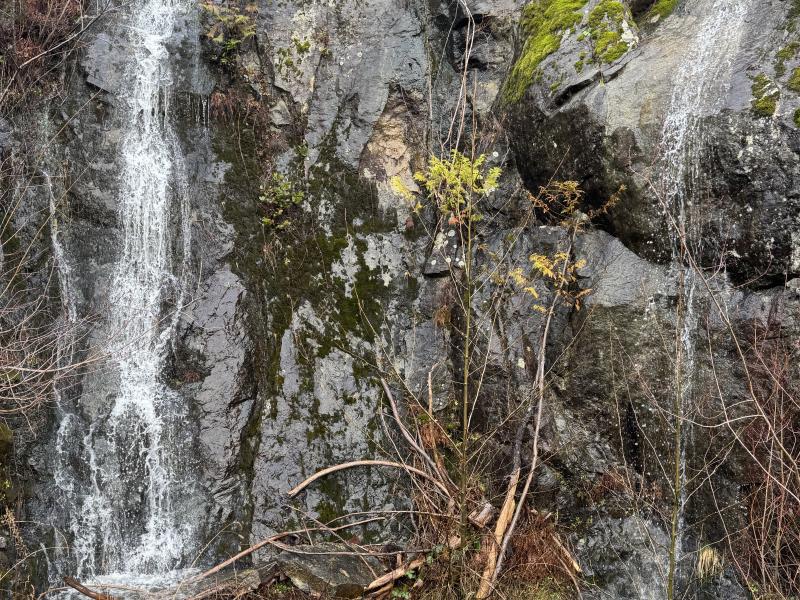 Jordan River Port Renfrew photo 39