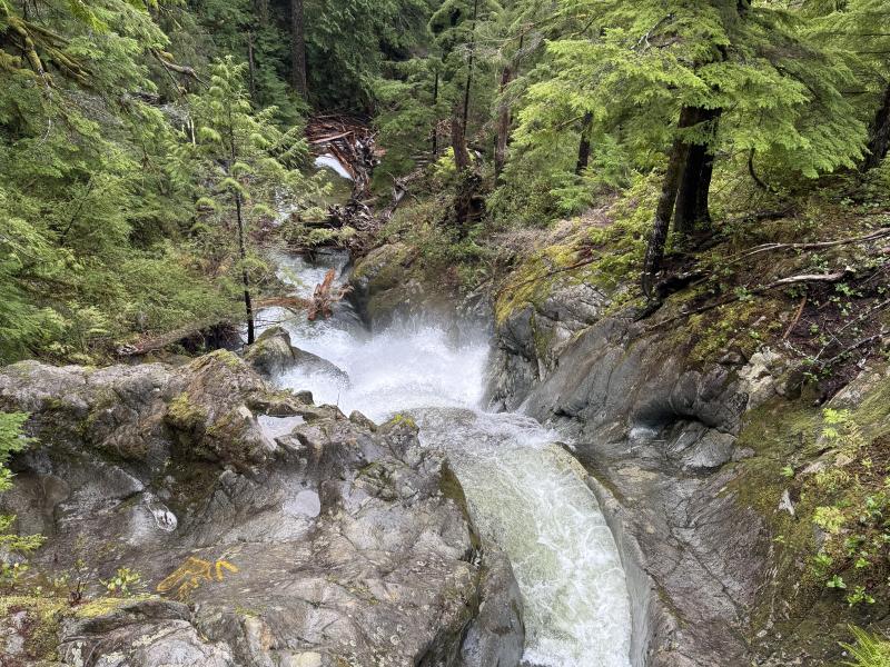 Jordan River Port Renfrew photo 43