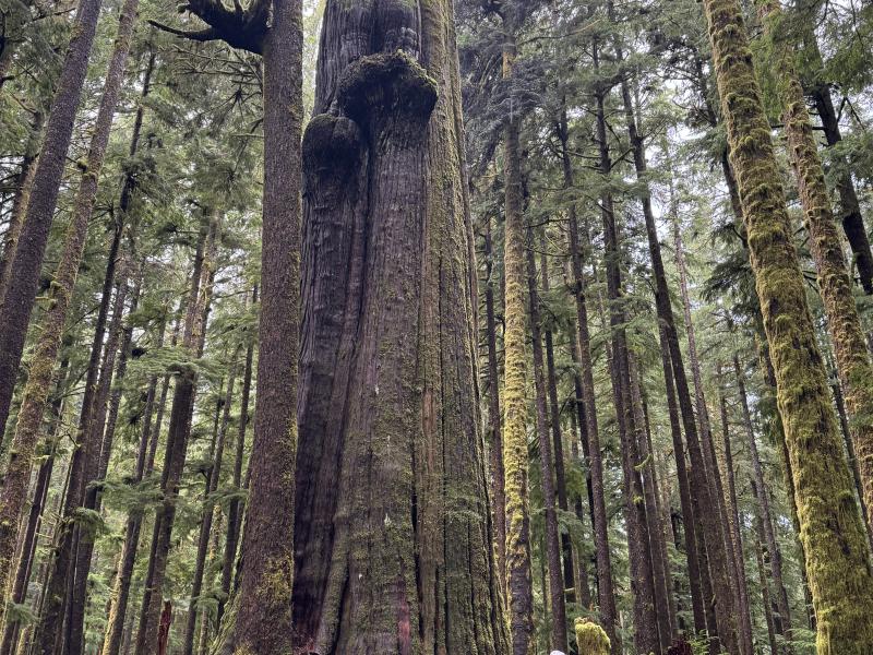 Jordan River Port Renfrew photo 50
